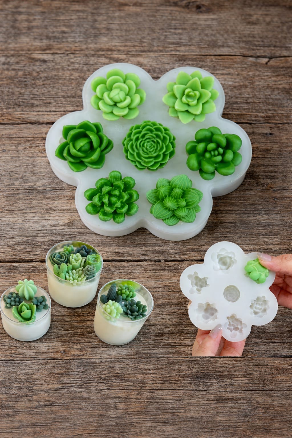 Mini Succulent Plant Mould