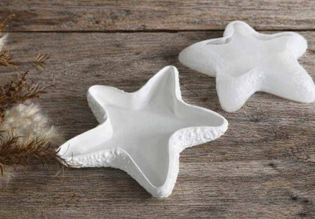Starfish Tray mold
